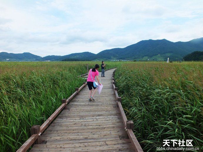 韩国人的节能意识
