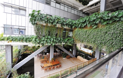 深圳：“绿房子” 越来越多